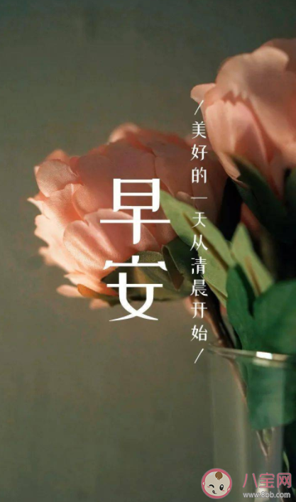 9月第一天朋友圈文案怎么发 9月第一天早安精选文案句子2022 9月第一天朋友圈文案怎么发 9月第一天早安精选文案句子2022