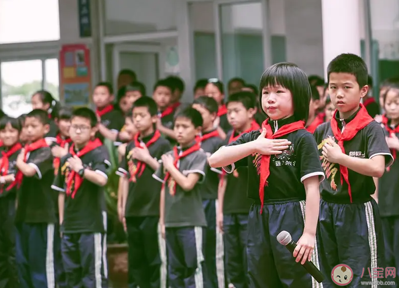 幼升小的朋友圈文案最新 孩子幼升小的家长感言句子 幼升小的朋友圈文案最新 孩子幼升小的家长感言句子