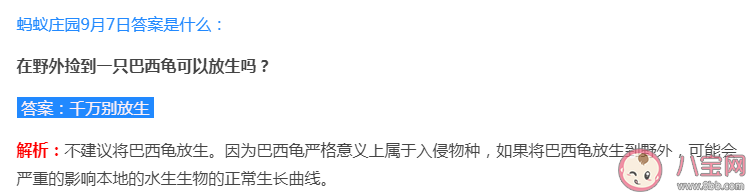 在野外捡到一只巴西龟可以放生吗 蚂蚁庄园9月7日答案