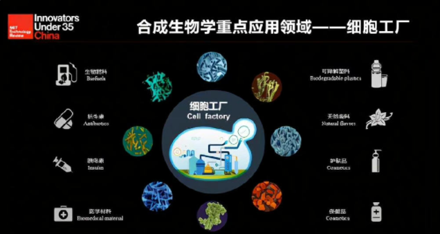 什么是合成生物 合成生物有多神奇