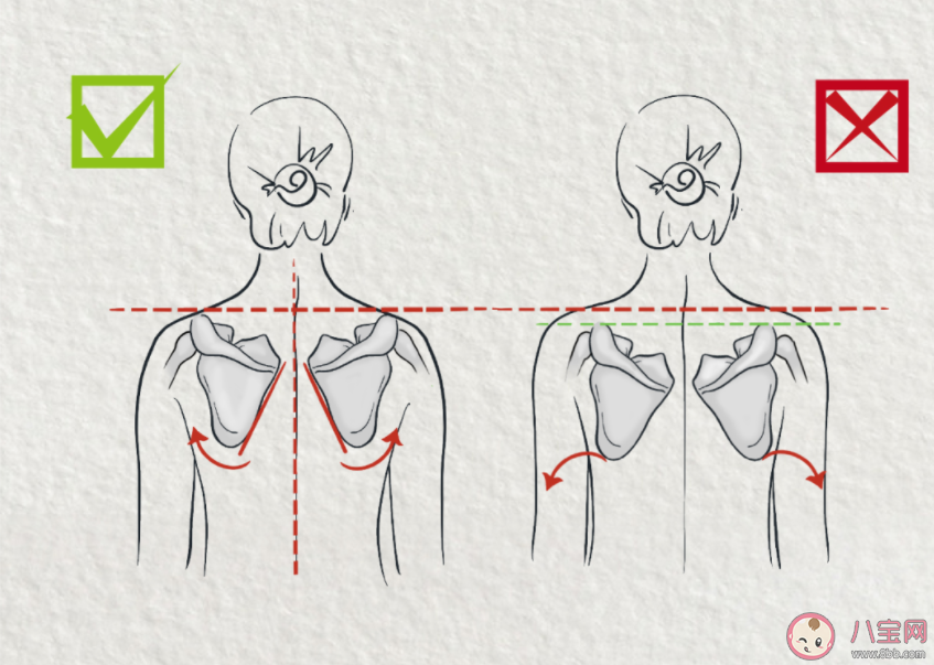 直角肩和圆肩到底哪种才是健康 苦练直角肩身体会遇到什么问题