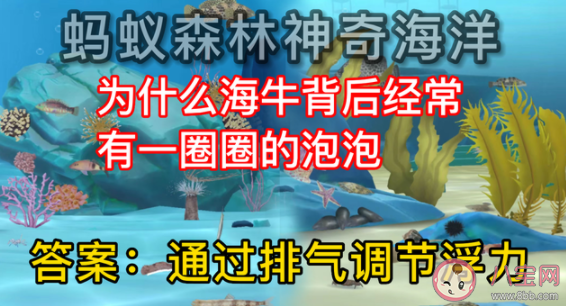 为什么海牛背后经常有一圈泡泡 蚂蚁森林神奇海洋9月22日答案