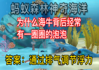 为什么海牛背后经常有一圈泡泡 蚂蚁森林神奇海洋9月22日答案