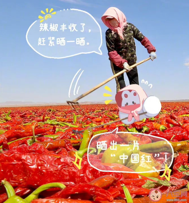 中国农民丰收节的正能量说说句子 中国农民丰收节发朋友圈说说