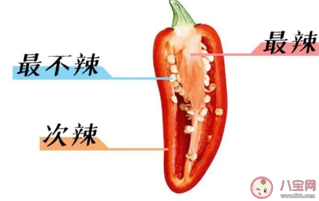 辣到时吃什么解辣最管用 常见的解辣方法有哪些