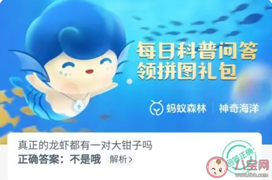 真正的龙虾都有一对大钳子吗 蚂蚁森林9月24日答案
