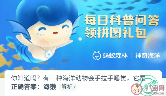 有一种海洋动物会手拉手睡觉它是什么 蚂蚁庄园神奇海洋9月26日答案