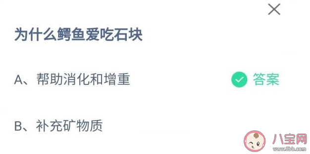 蚂蚁庄园为什么鳄鱼爱吃石块 9月29日答案最新