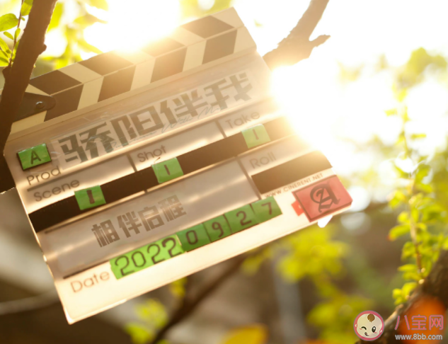 《骄阳伴我》原著小说是什么 《骄阳伴我》讲的是什么故事