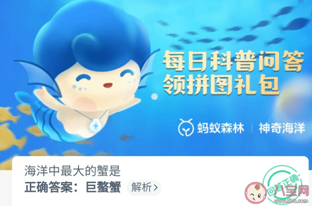 海洋中最大的蟹是什么 蚂蚁森林神奇海洋10月1日答案