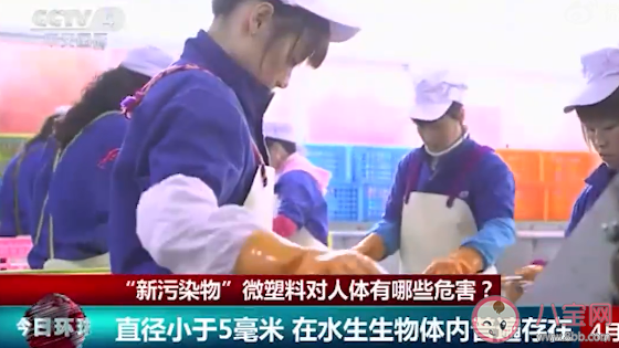 什么是微塑料 微塑料会对人体有哪些危害