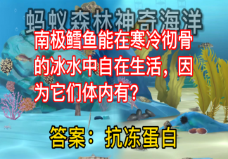南极鳕鱼在冰水中生活因为它们体内有什么蛋白 蚂蚁庄园神奇海洋10月2日答案