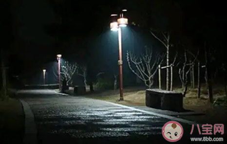 想要预防夜盲症吃哪种食物更合适 蚂蚁庄园10月8日答案介绍