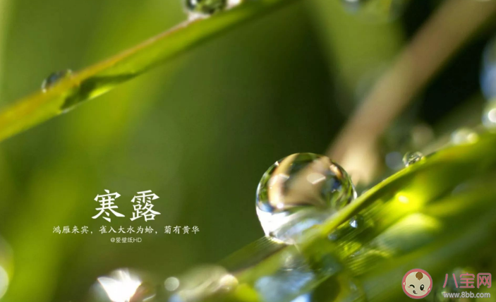 寒露气候特征是什么 2022寒露节气养生要点 寒露气候特征是什么 2022寒露节气养生要点