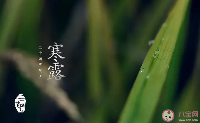 寒露气候特征是什么 2022寒露节气养生要点 寒露气候特征是什么 2022寒露节气养生要点