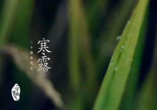 寒露气候特征是什么 2022寒露节气养生要点