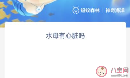 蚂蚁森林水母有心脏吗 神奇海洋10月10日答案最新