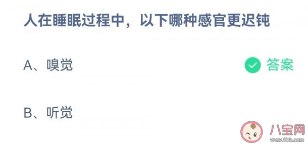蚂蚁庄园人在睡眠过程中哪种感官更迟钝 10月15日答案