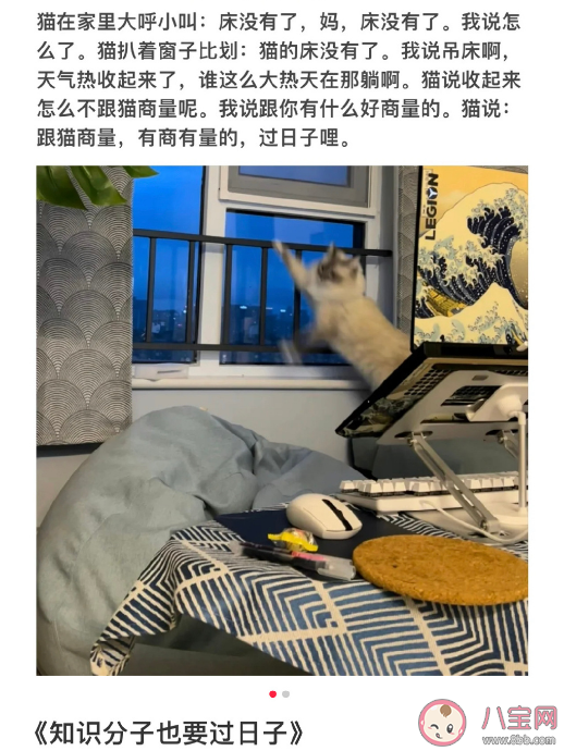 小猫文学是什么梗什么意思 小猫文学语录文案大全