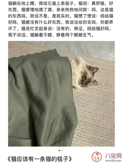 小猫文学是什么梗什么意思 小猫文学语录文案大全