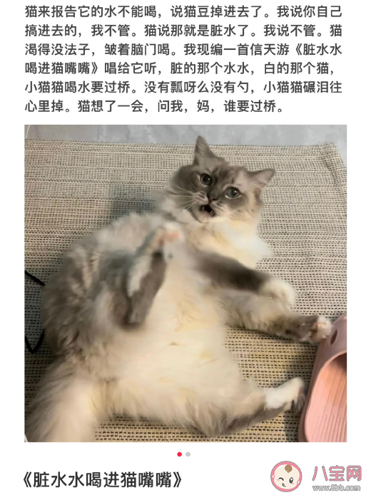 小猫文学是什么梗什么意思 小猫文学语录文案大全