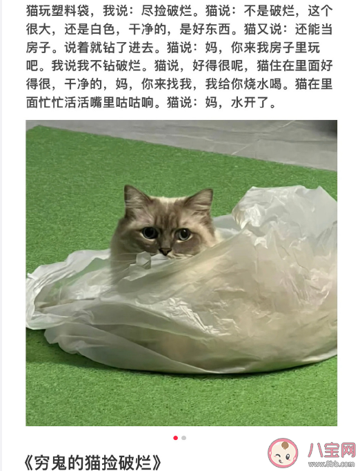 小猫文学是什么梗什么意思 小猫文学语录文案大全