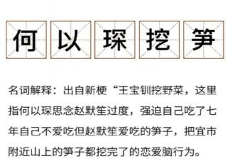 何以琛挖笋是什么意思什么梗 何以琛挖笋梗的出处是什么