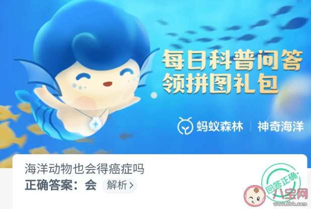 海洋动物也会得癌症吗蚂蚁森林 神奇海洋10月24日答案