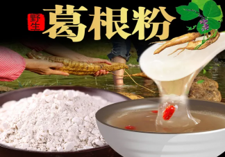 每天吃葛根粉可以保护肝脏吗 日常该如何养护肝脏