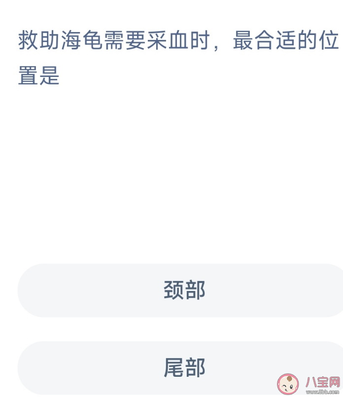 救助海龟需要采血时最合适的位置是颈部还是尾部 神奇海洋10月25日答案