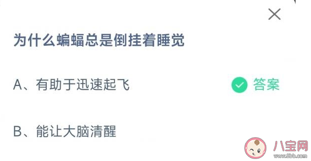 蝙蝠总是倒挂着睡觉是有助于迅速起飞还是能让大脑清醒 蚂蚁庄园10月26日答案