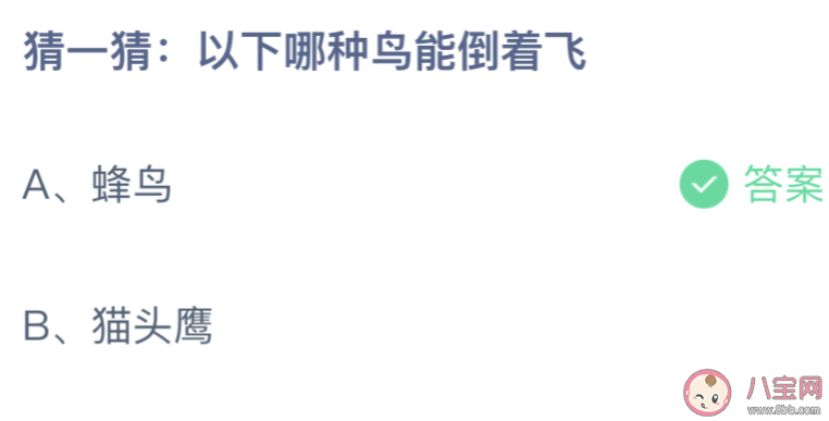以下蜂鸟和猫头鹰哪种鸟能倒着飞 蚂蚁庄园10月27日答案最新