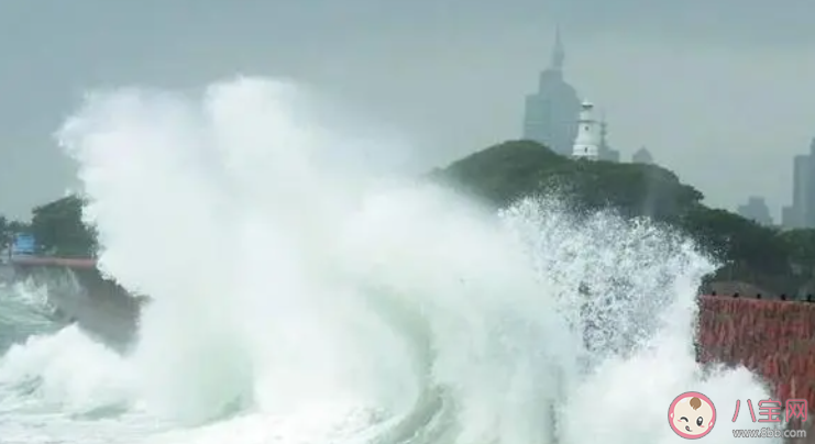 赤潮和风暴潮哪种灾害位于我国海洋灾害之首 蚂蚁森林神奇海洋10月26日答案最新