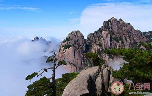 蚂蚁庄园以下哪一项属于黄山四绝景观 小课堂10月28日答案介绍