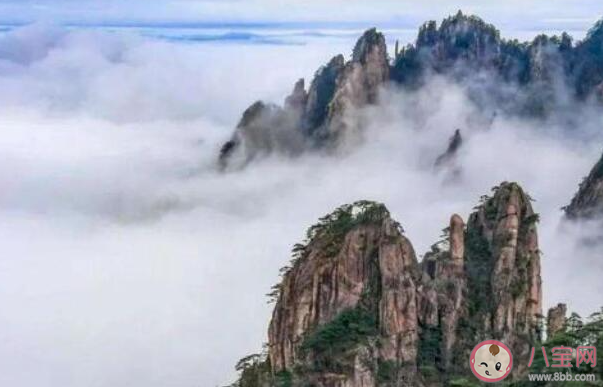 蚂蚁庄园以下哪一项属于黄山四绝景观 小课堂10月28日答案介绍