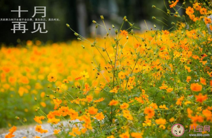 10月最后一天发朋友圈文案 10月最后一天心情感言句子