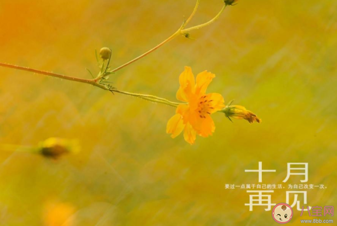 10月最后一天发朋友圈文案 10月最后一天心情感言句子