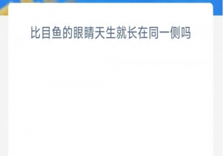 比目鱼的眼睛天生就长在同一侧吗 神奇海洋10月28日答案