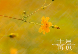 10月最后一天发朋友圈文案 10月最后一天心情感言句子