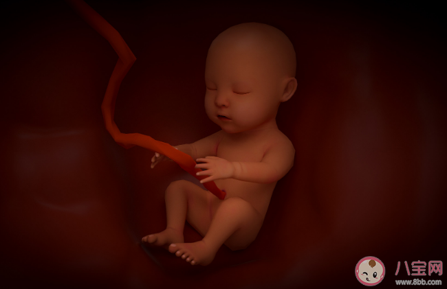 古代人是如何判断胎儿性别的 为什么古代人这么热衷于生儿子