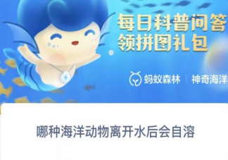 哪种海洋动物离开水后会自溶 神奇海洋11月1日答案