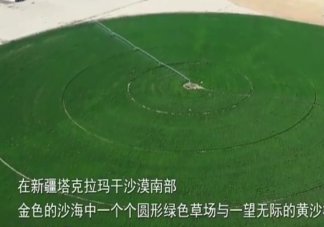 金色沙海也能长出绿色草场是怎么回事 沙漠是如何变绿洲的难点在哪