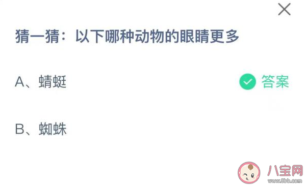 蜻蜓和蜘蛛哪种动物的眼睛更多 蚂蚁庄园11月3日答案解析