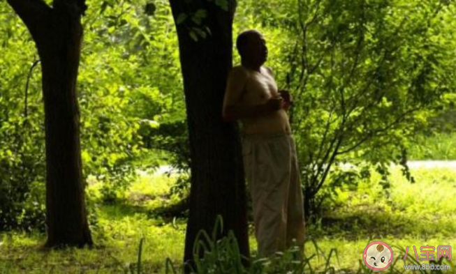 撞树锻炼可以强身健体吗 这2种运动方式不建议