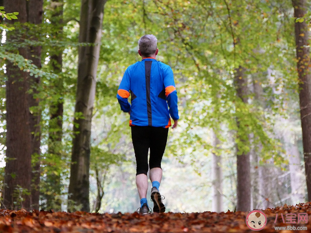 撞树锻炼可以强身健体吗 这2种运动方式不建议