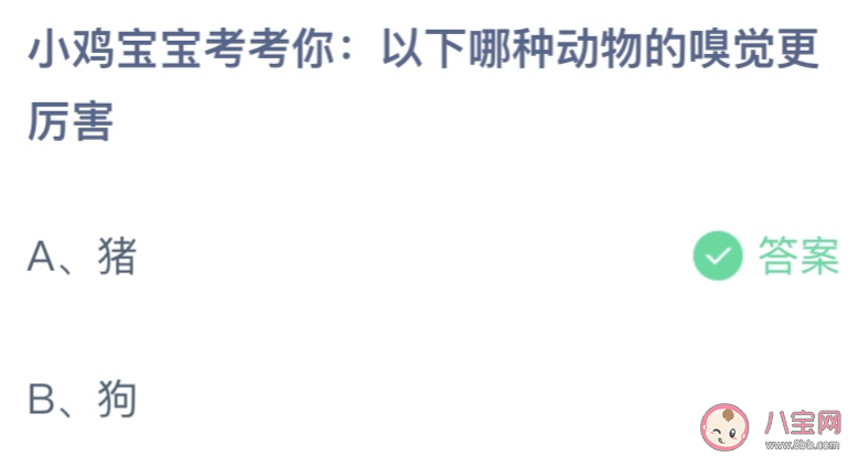 以下哪种动物的嗅觉更厉害 蚂蚁庄园11月8日答案介绍