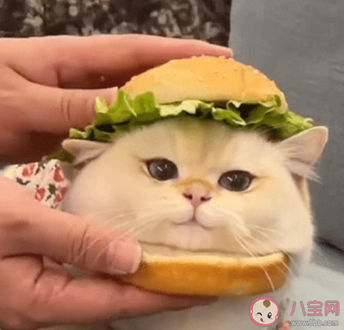 4个坏习惯让人变丑 哪些坏习惯让人越变越丑