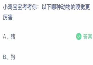 以下哪种动物的嗅觉更厉害 蚂蚁庄园11月8日答案介绍
