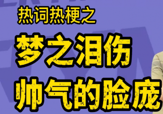 梦之泪伤帅气的脸庞是什么梗什么歌 《梦之泪伤》完整版歌词在线试听