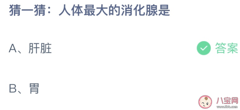 人体最大的消化腺是肝脏还是胃 蚂蚁庄园11月12日答案最新